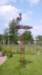 2012 HWK 040_small.jpg